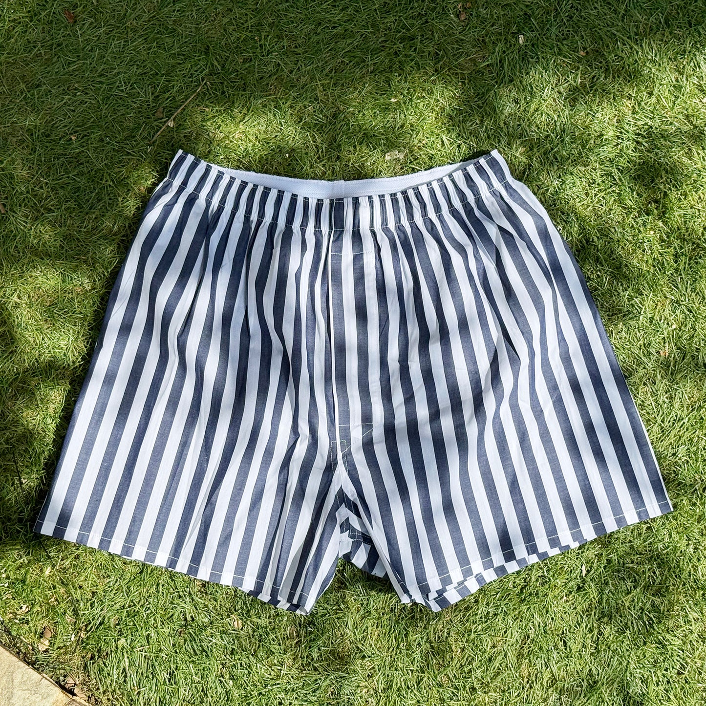 CIRCUS-STRIPE TRUNKS