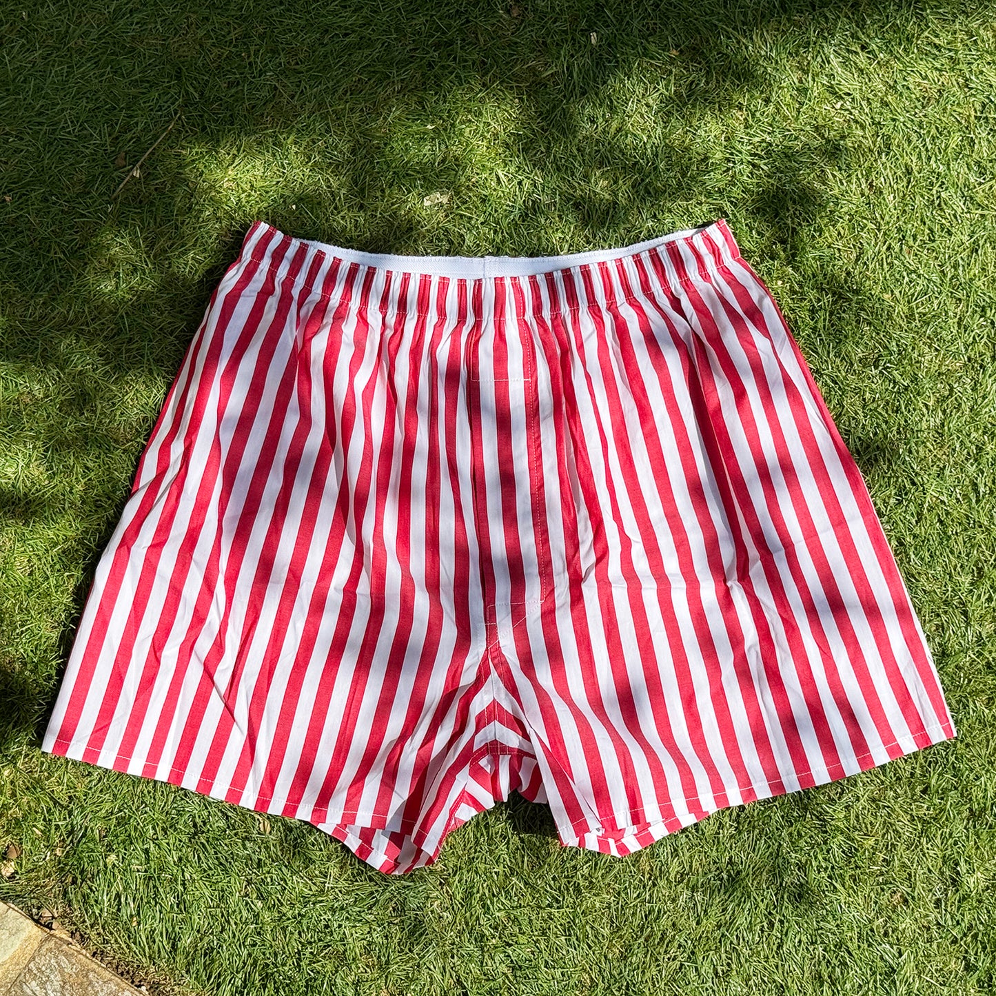 CIRCUS-STRIPE TRUNKS