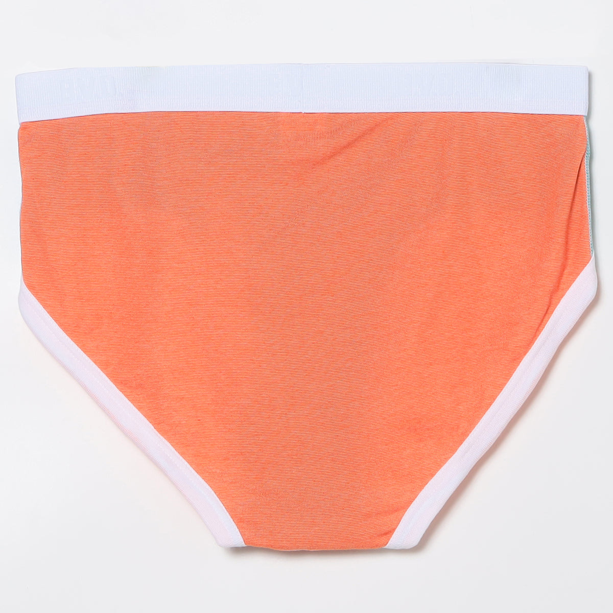 QUICK DRY PIPING BRIEFS