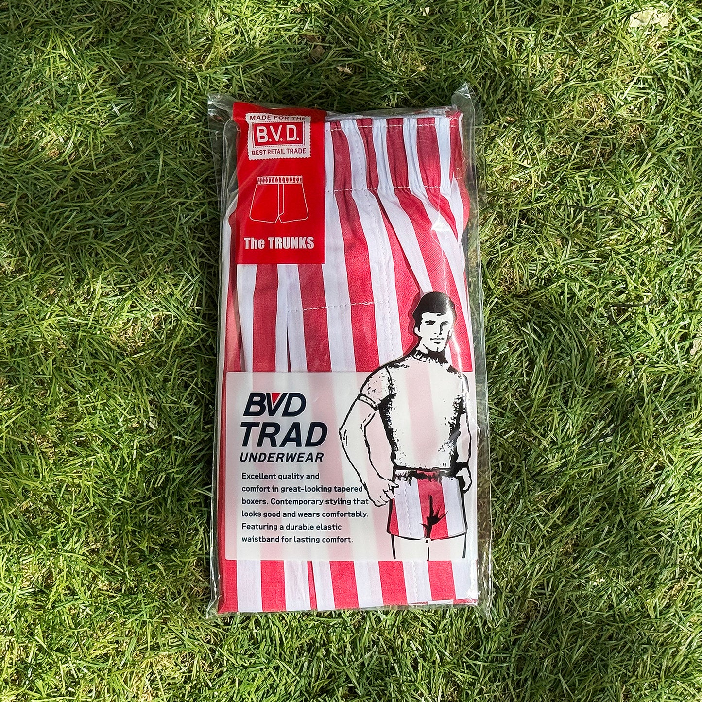 CIRCUS-STRIPE TRUNKS